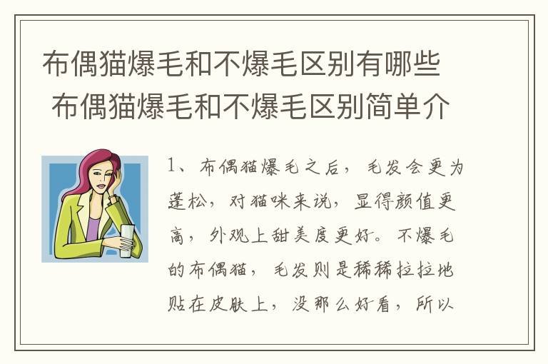 布偶猫爆毛和不爆毛区别有哪些 布偶猫爆毛和不爆毛区别简单介绍