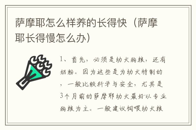 萨摩耶怎么样养的长得快（萨摩耶长得慢怎么办）