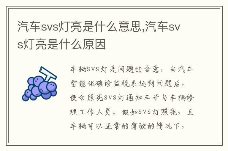 汽车svs灯亮是什么意思,汽车svs灯亮是什么原因