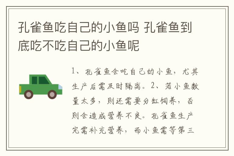 孔雀鱼吃自己的小鱼吗 孔雀鱼到底吃不吃自己的小鱼呢