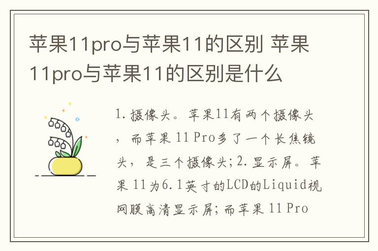 苹果11pro与苹果11的区别 苹果11pro与苹果11的区别是什么