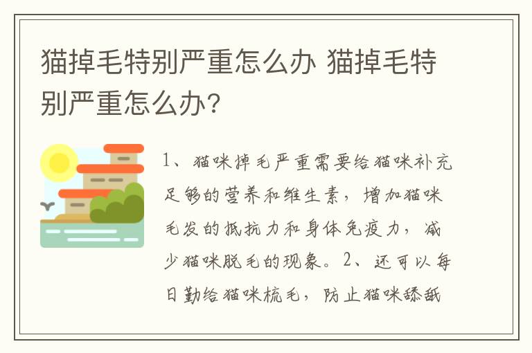 猫掉毛特别严重怎么办 猫掉毛特别严重怎么办?