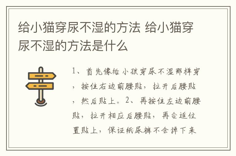 给小猫穿尿不湿的方法 给小猫穿尿不湿的方法是什么