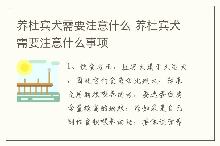 养杜宾犬需要注意什么 养杜宾犬需要注意什么事项