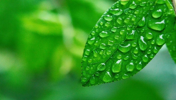 酸雨怎么形成的