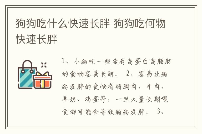 狗狗吃什么快速长胖 狗狗吃何物快速长胖