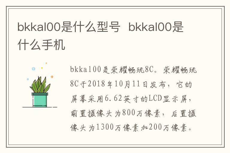 bkkal00是什么型号  bkkal00是什么手机