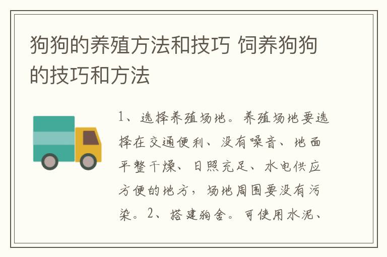 狗狗的养殖方法和技巧 饲养狗狗的技巧和方法