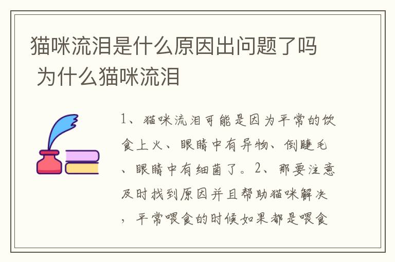 猫咪流泪是什么原因出问题了吗 为什么猫咪流泪