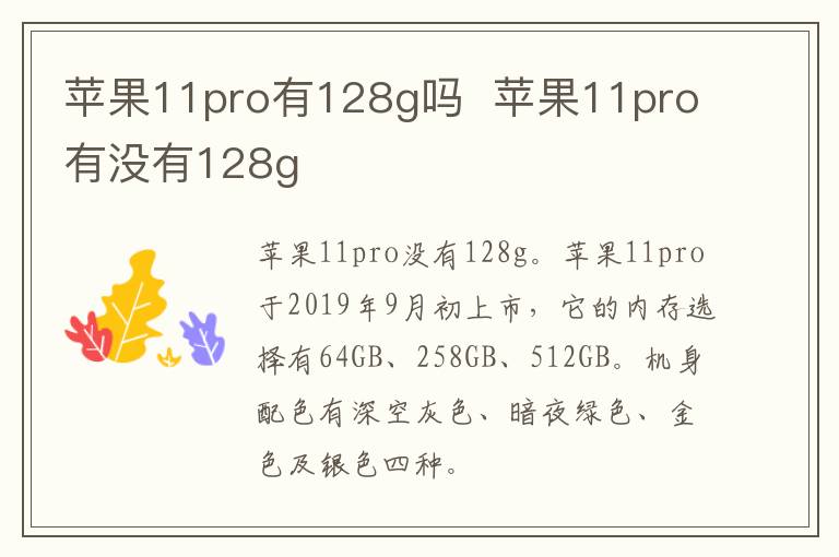 苹果11pro有128g吗  苹果11pro有没有128g