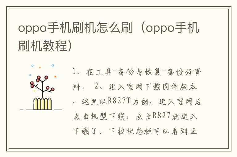 oppo手机刷机怎么刷（oppo手机刷机教程）