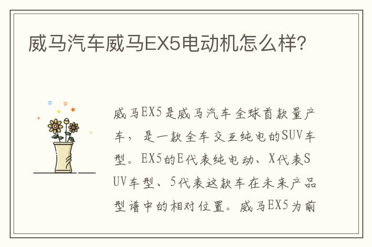 威马汽车威马EX5电动机怎么样？