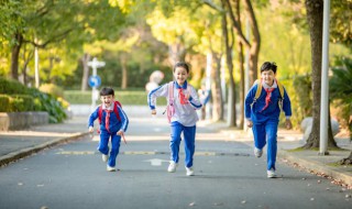 小学生不去学校怎么办（小学生不去上学学校有怎么处理）