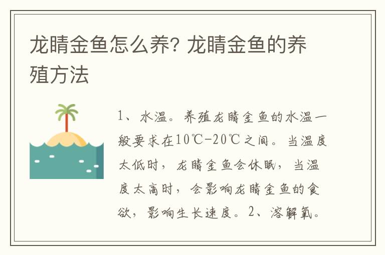 龙睛金鱼怎么养? 龙睛金鱼的养殖方法