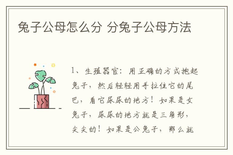 兔子公母怎么分 分兔子公母方法