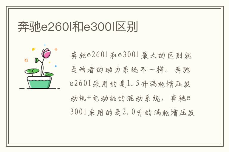 奔驰e260l和e300l区别