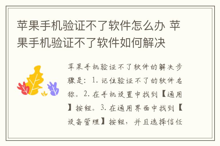 苹果手机验证不了软件怎么办 苹果手机验证不了软件如何解决