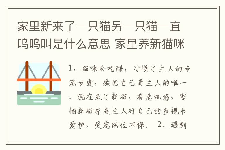 家里新来了一只猫另一只猫一直呜呜叫是什么意思 家里养新猫咪老的猫咪会叫