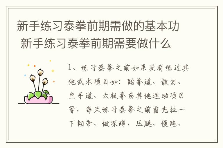 新手练习泰拳前期需做的基本功 新手练习泰拳前期需要做什么