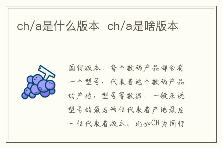 ch/a是什么版本  ch/a是啥版本