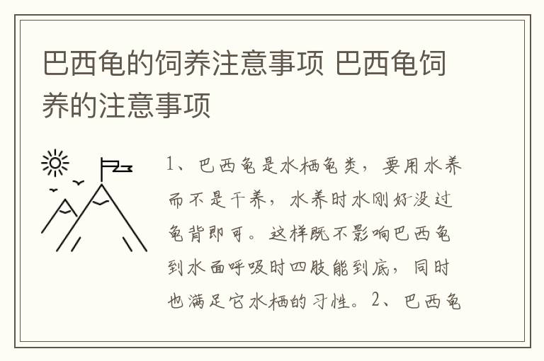 巴西龟的饲养注意事项 巴西龟饲养的注意事项