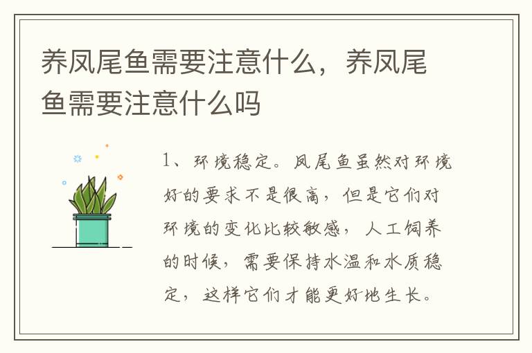 养凤尾鱼需要注意什么，养凤尾鱼需要注意什么吗