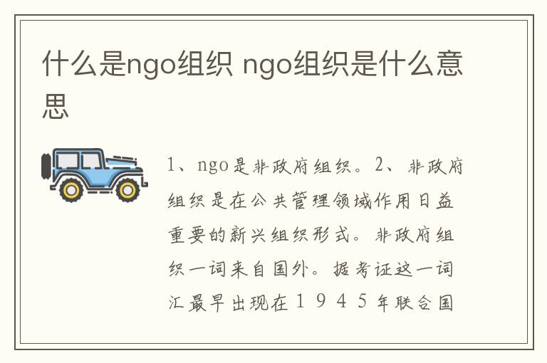 什么是ngo组织 ngo组织是什么意思