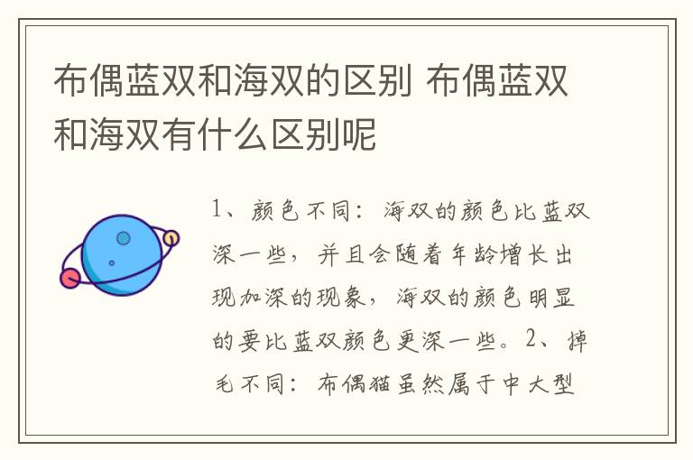 布偶蓝双和海双的区别 布偶蓝双和海双有什么区别呢