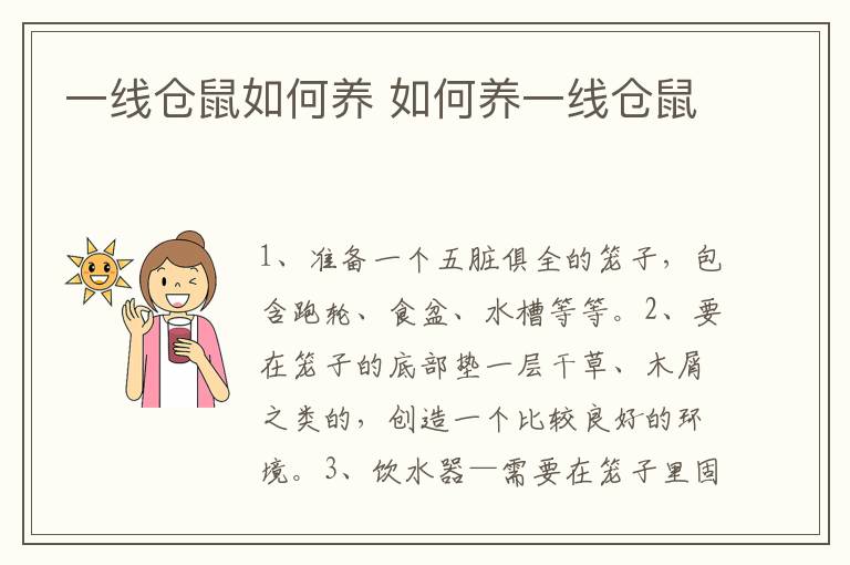 一线仓鼠如何养 如何养一线仓鼠