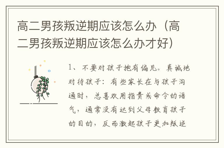 高二男孩叛逆期应该怎么办（高二男孩叛逆期应该怎么办才好）