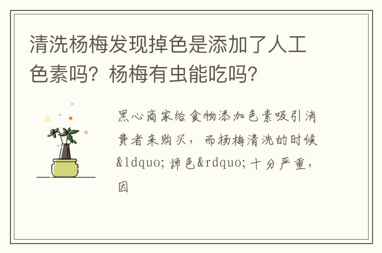 清洗杨梅发现掉色是添加了人工色素吗？杨梅有虫能吃吗？