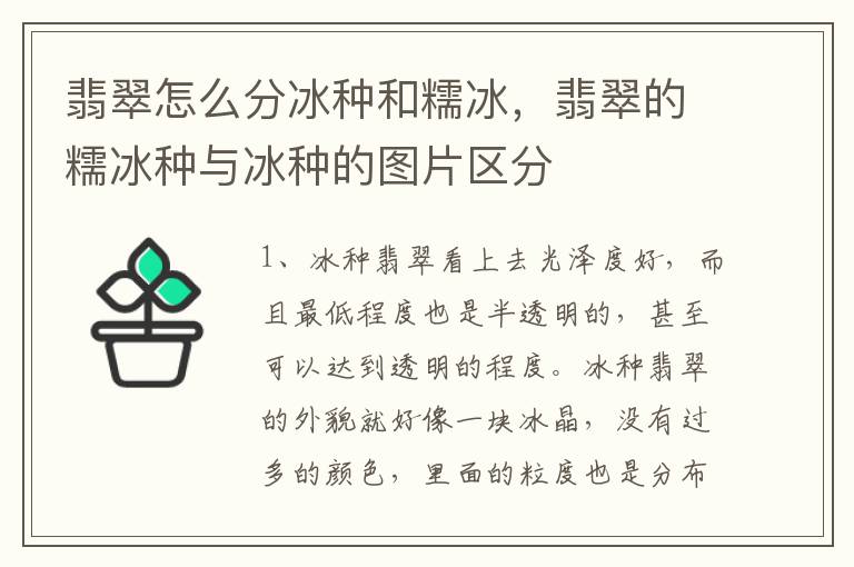 翡翠怎么分冰种和糯冰，翡翠的糯冰种与冰种的图片区分