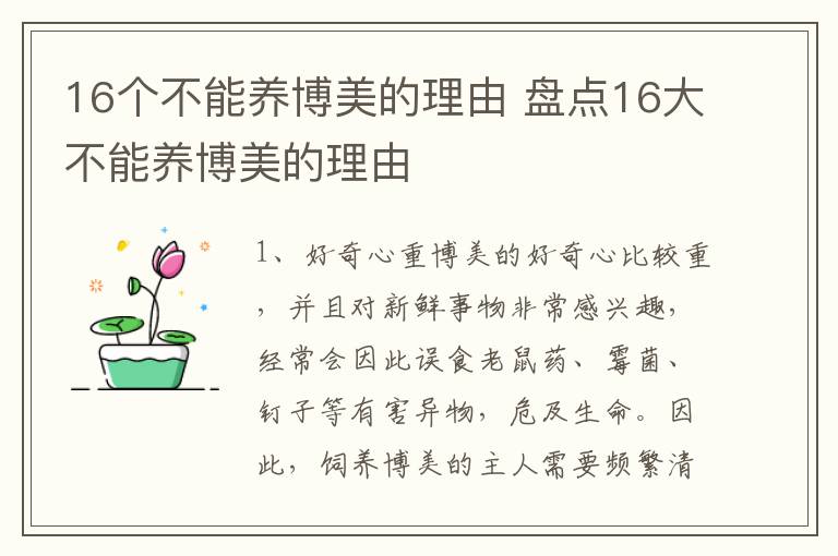 16个不能养博美的理由 盘点16大不能养博美的理由