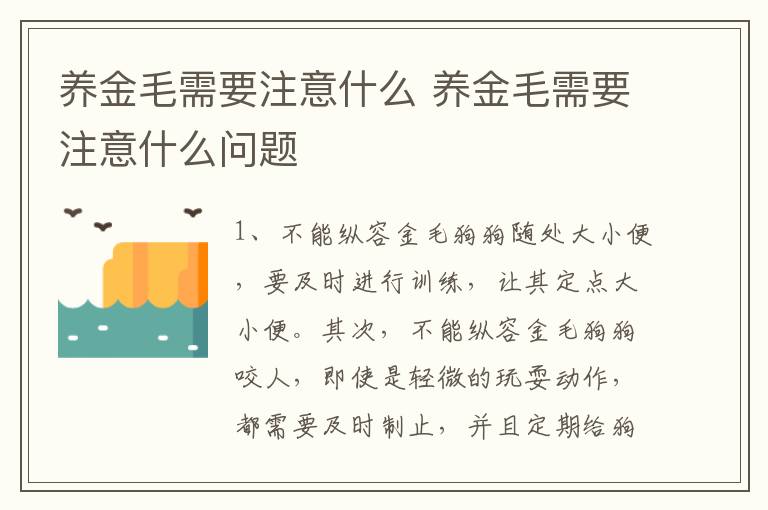 养金毛需要注意什么 养金毛需要注意什么问题