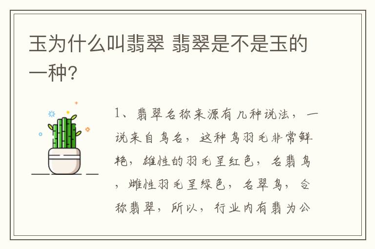 玉为什么叫翡翠 翡翠是不是玉的一种?