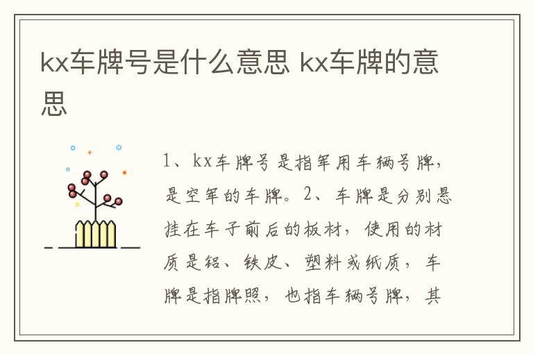 kx车牌号是什么意思 kx车牌的意思