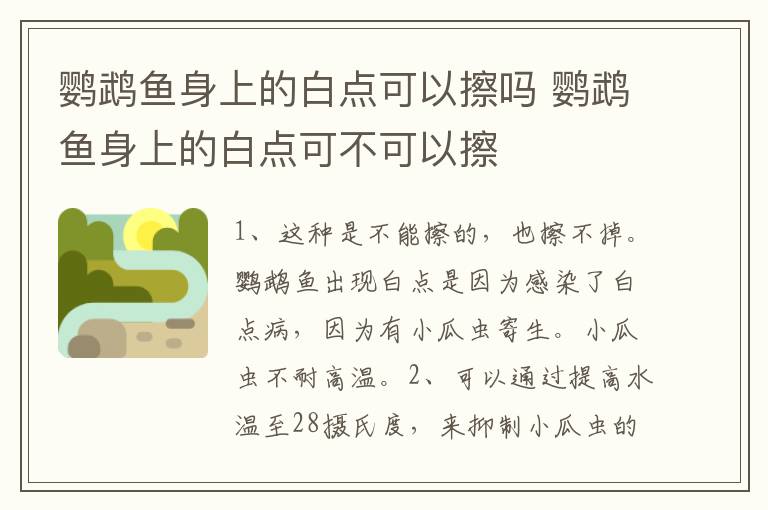 鹦鹉鱼身上的白点可以擦吗 鹦鹉鱼身上的白点可不可以擦