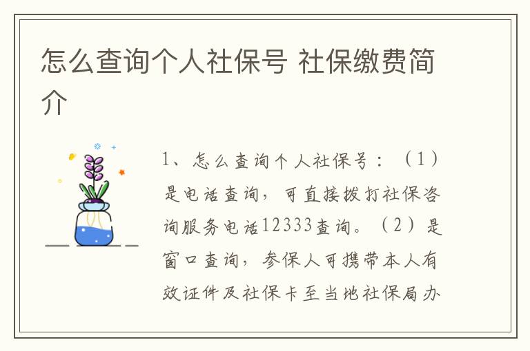 怎么查询个人社保号 社保缴费简介