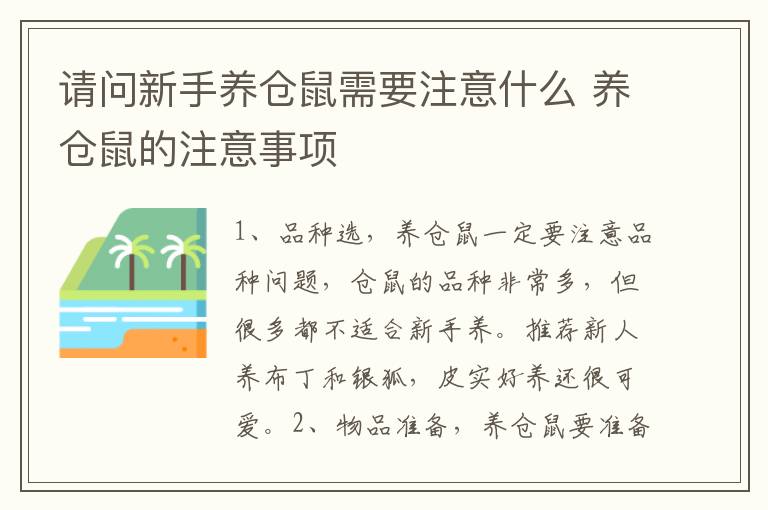 请问新手养仓鼠需要注意什么 养仓鼠的注意事项