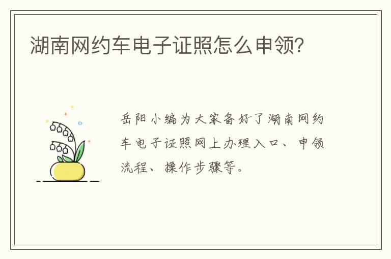 湖南网约车电子证照怎么申领？