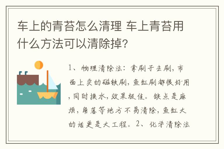 车上的青苔怎么清理 车上青苔用什么方法可以清除掉?