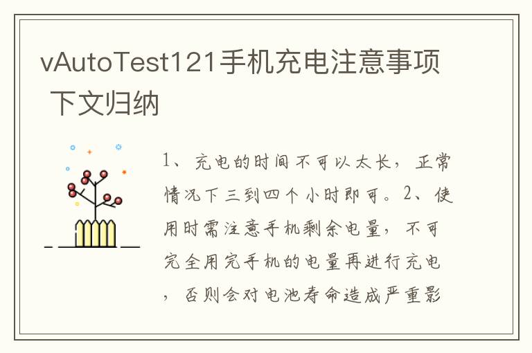 vAutoTest121手机充电注意事项 下文归纳