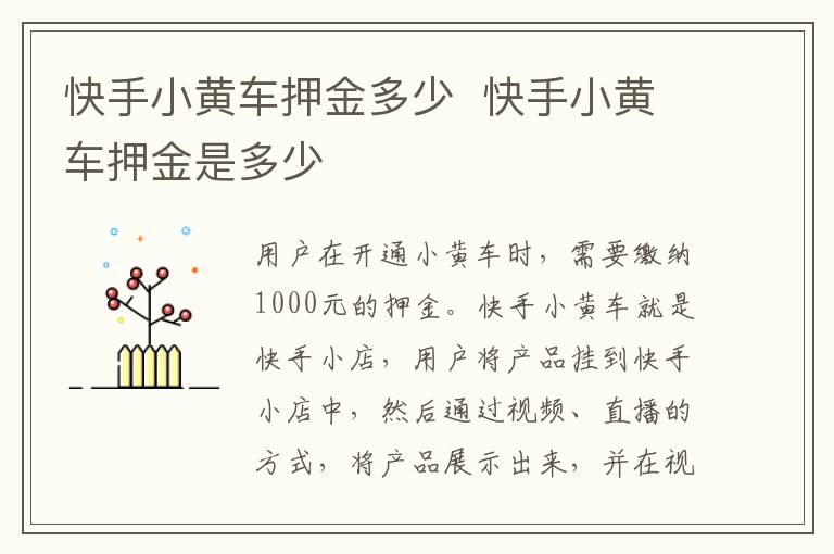 快手小黄车押金多少  快手小黄车押金是多少