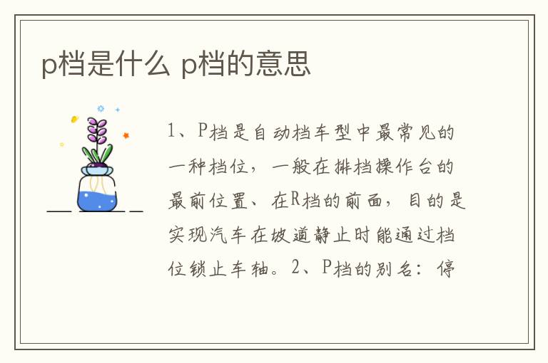 p档是什么 p档的意思