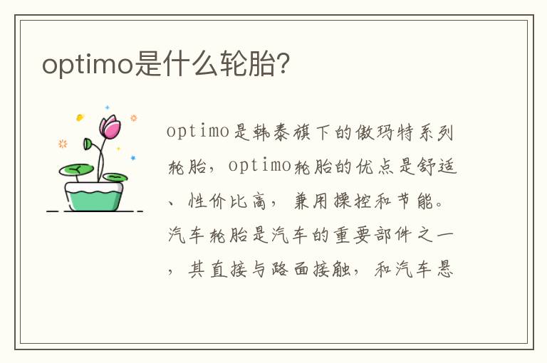 optimo是什么轮胎？