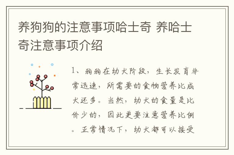 养狗狗的注意事项哈士奇 养哈士奇注意事项介绍