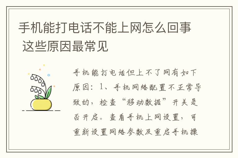 手机能打电话不能上网怎么回事 这些原因最常见