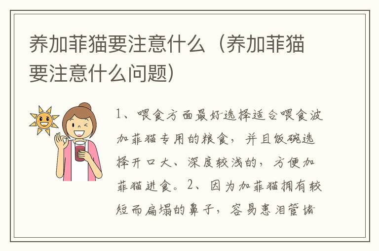 养加菲猫要注意什么（养加菲猫要注意什么问题）