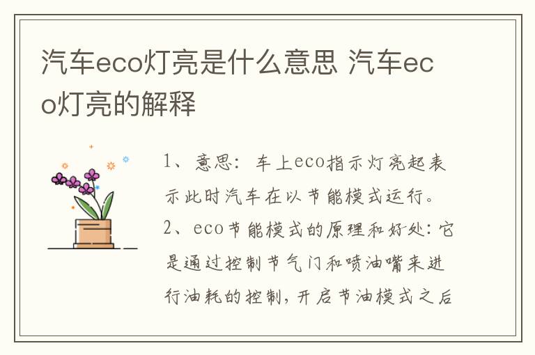 汽车eco灯亮是什么意思 汽车eco灯亮的解释