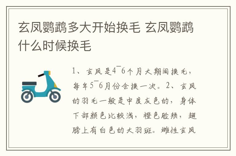 玄凤鹦鹉多大开始换毛 玄凤鹦鹉什么时候换毛